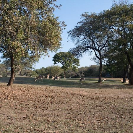 Kruger Park Lodge Unit 245 Hazyview Eksteriør bilde