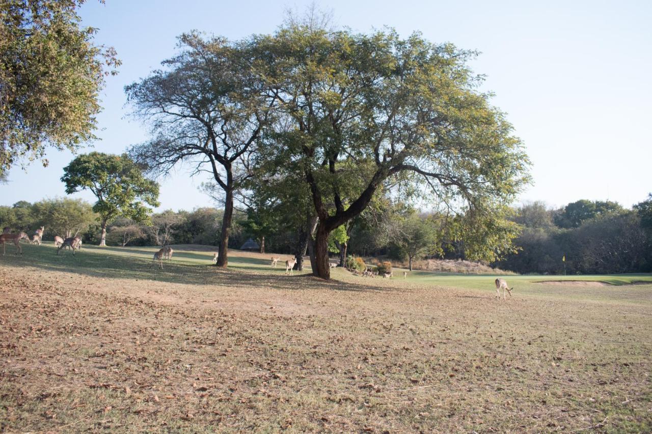 Kruger Park Lodge Unit 245 Hazyview Eksteriør bilde